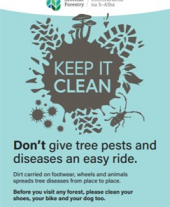 A3 Keep it Clean forest biosecurity poster standard